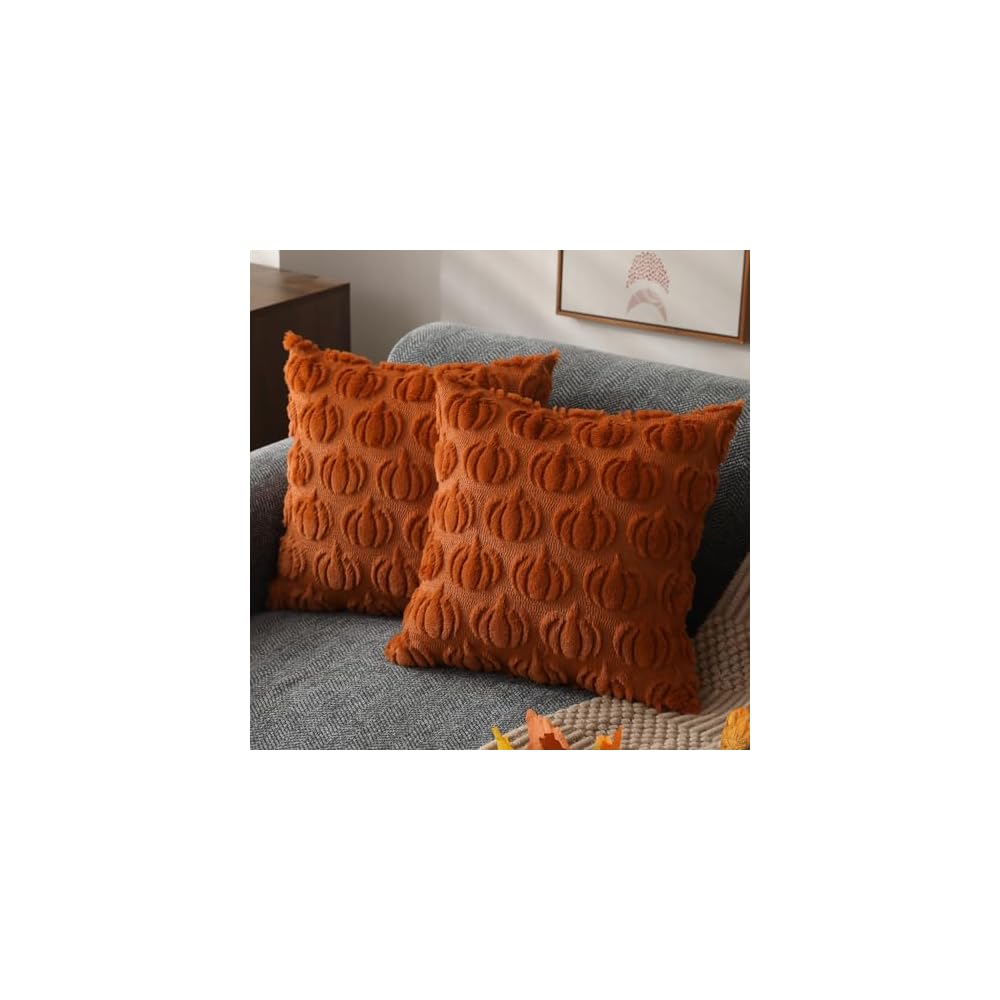 Fall Pillow Covers 18x18 2Pcs Rust Pumpkin Fall Decorations for Home