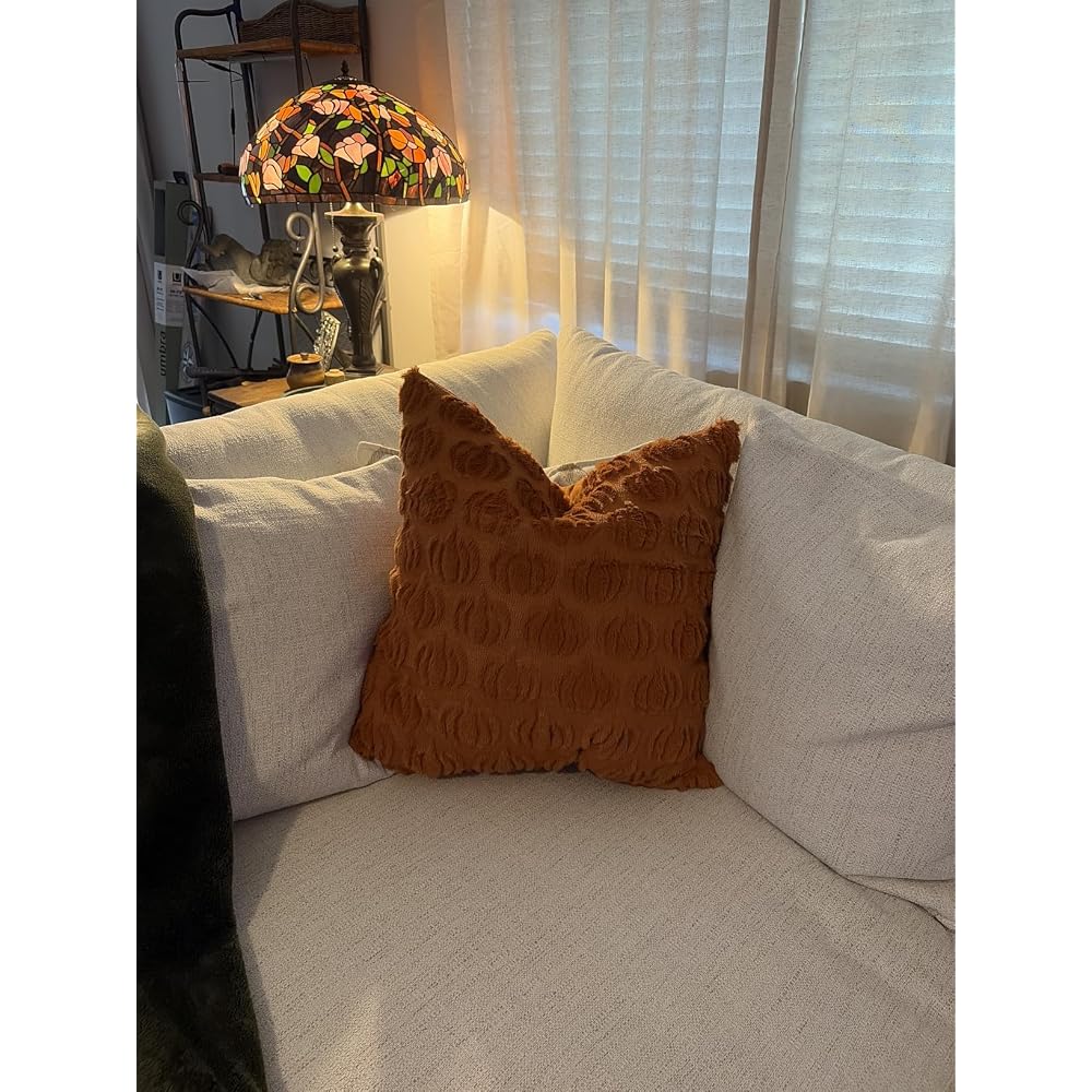 Fall Pillow Covers 18x18 2Pcs Rust Pumpkin Fall Decorations for Home